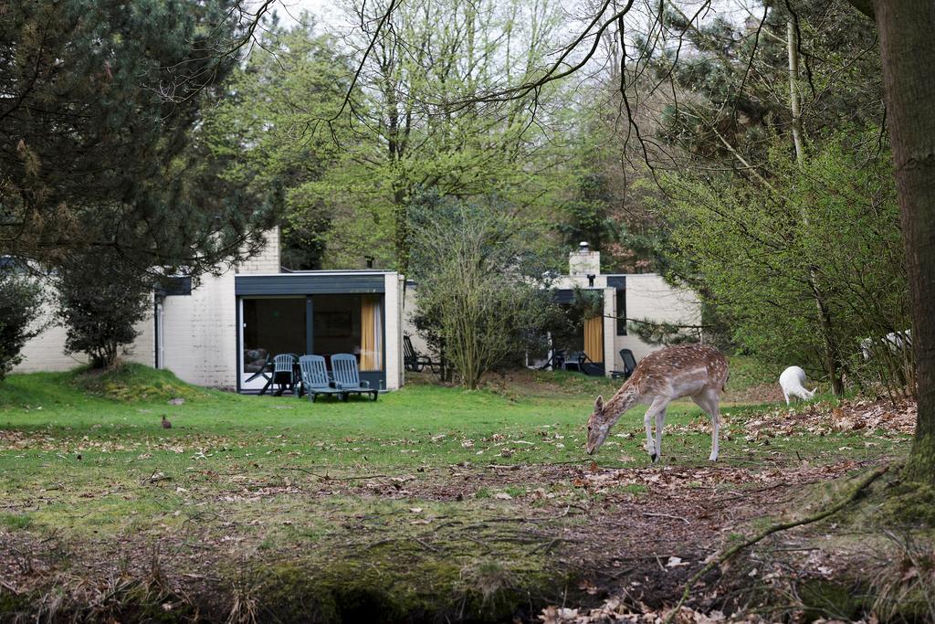 אמריקה Center Parcs Meerdal Limburg-Brabant חדר תמונה