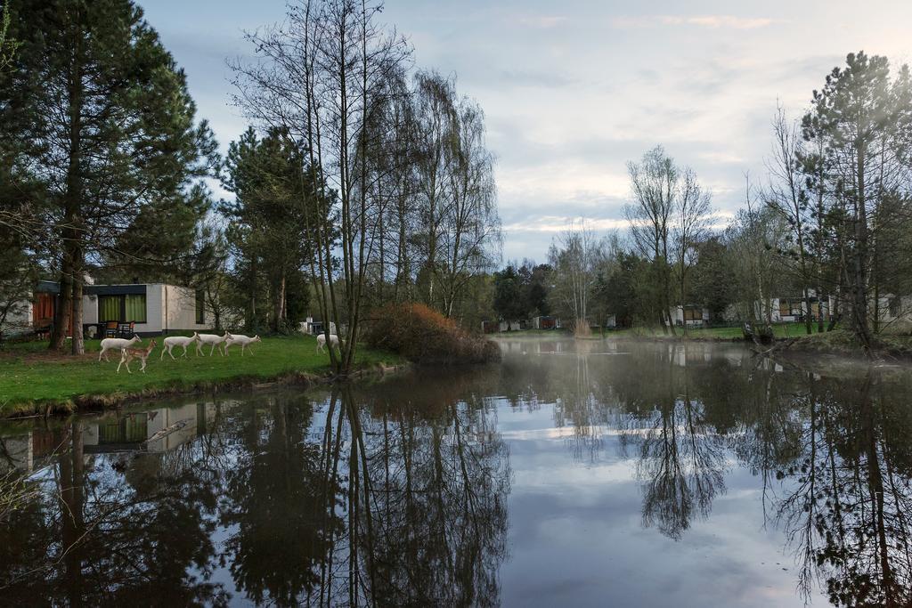 אמריקה Center Parcs Meerdal Limburg-Brabant מראה חיצוני תמונה