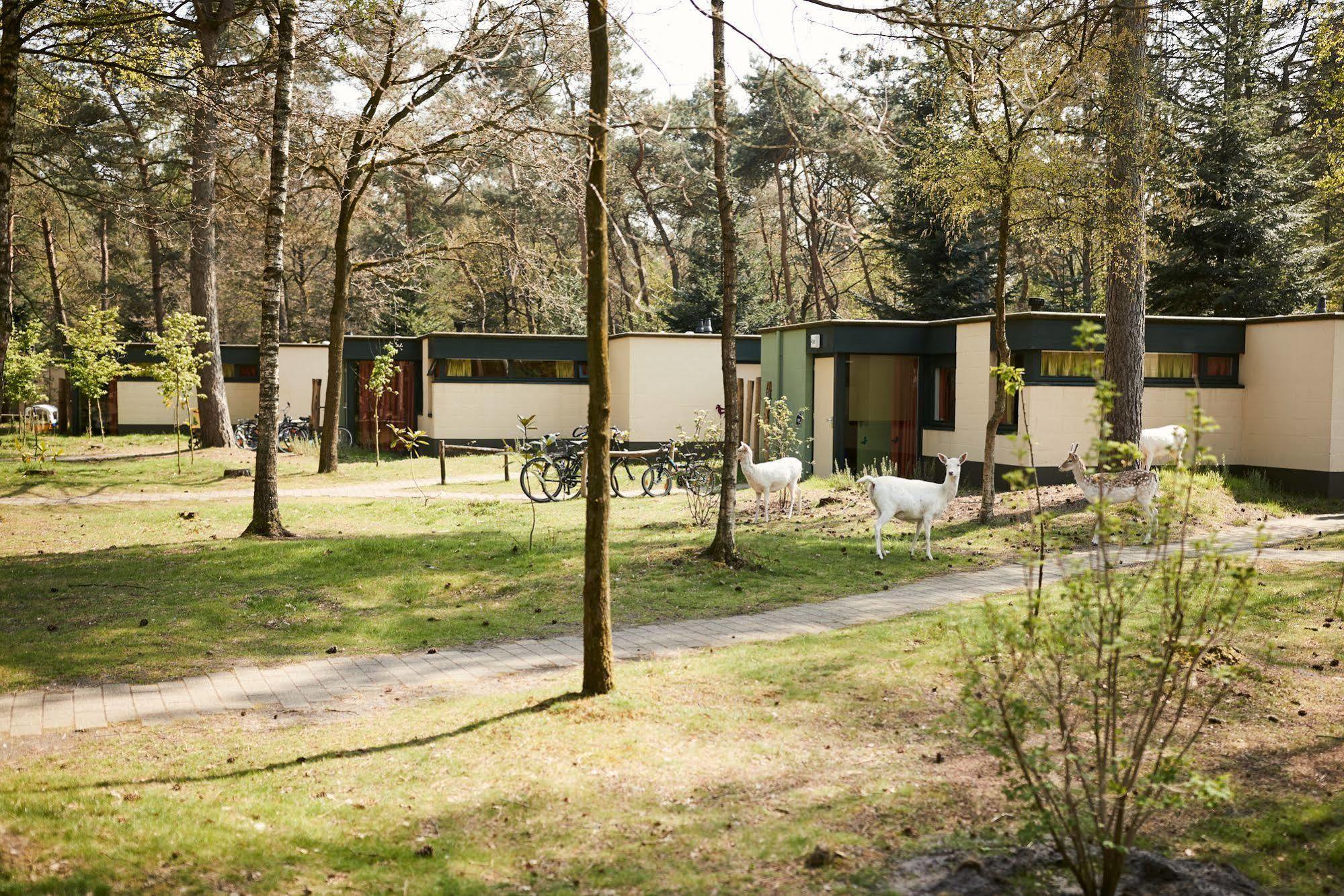 אמריקה Center Parcs Meerdal Limburg-Brabant מראה חיצוני תמונה